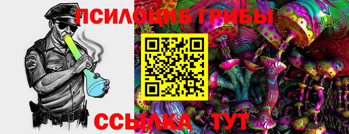 Морозовск  Галлюциногенные грибы MAGIC MUSHROOMS  Вход с VPN  Псилоцибиновые грибы MAGIC MUSHROOMS 