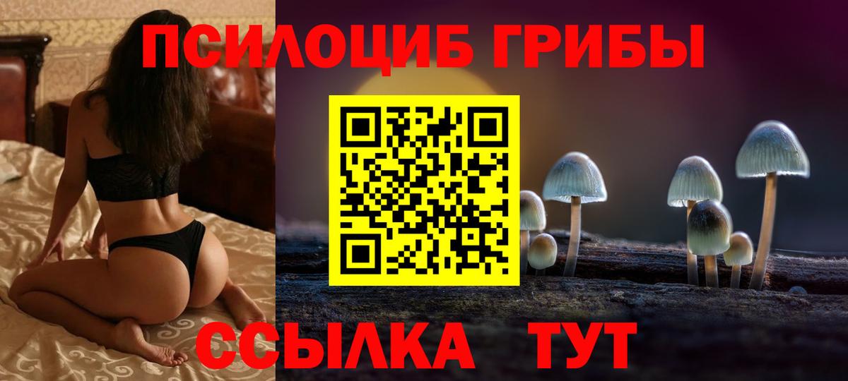 Псилоцибиновые грибы Psilocybe Морозовск